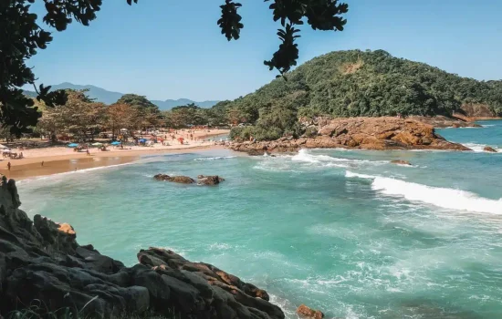 trindade 2